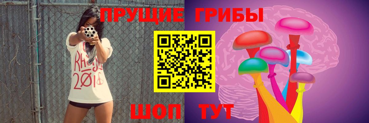 Чапаевск  Галлюциногенные грибы ЛСД  Вход с VPN 