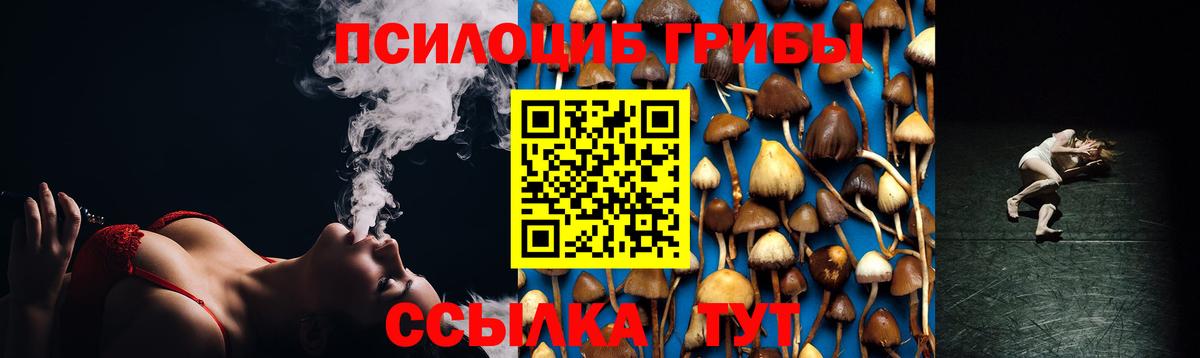 Псилоцибиновые грибы Magic Shrooms Чапаевск